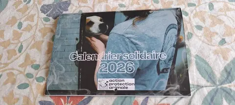 Calendrier 2026 NEUF