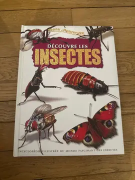 livré insecte