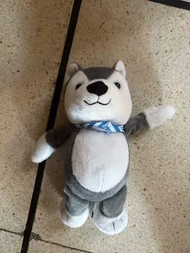 peluche