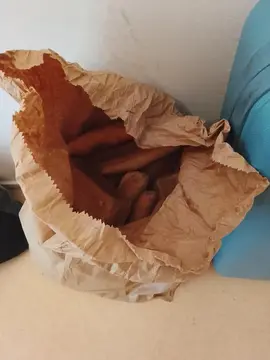 Don grand sac de pain dur ( pour animaux)