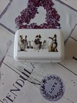 boîte pour comprimé pour chien