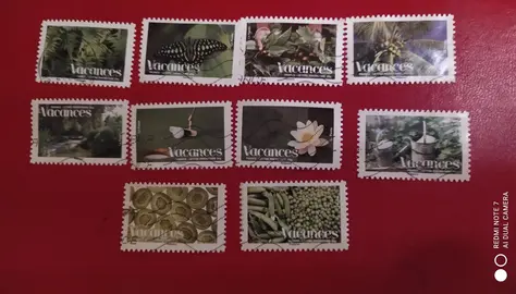 série timbres vacances 2008, lot 263