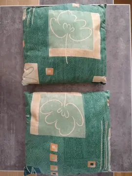 2 coussins 35 x 35 cm