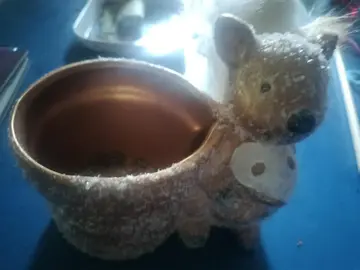 déco pour plantes