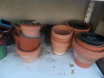 Pots de fleurs