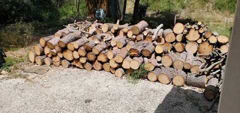 bois de pin