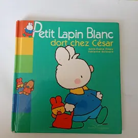 livre enfants