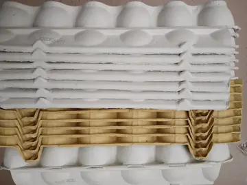 Boites à oeufs