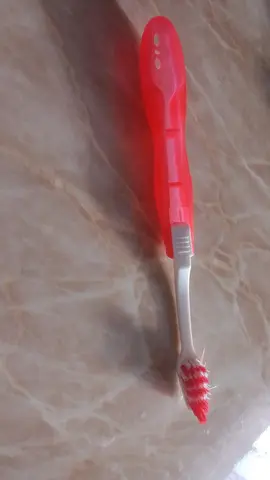 brosse a dent pliable
