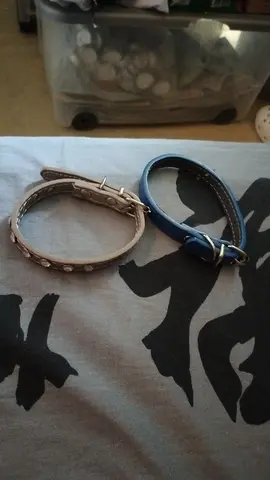 collier pour petit chien et moyen chien