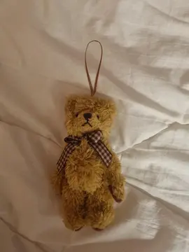 Porte-clés peluche ours et tomate
