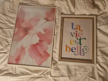 2 affiches murales