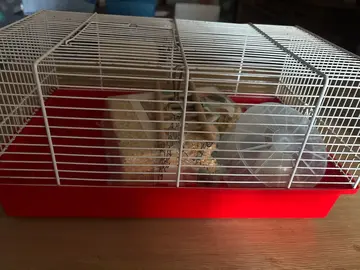 petite cage à hamster