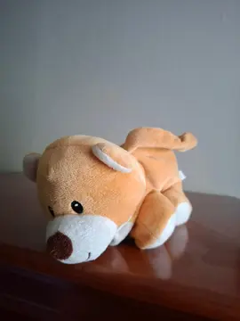 petit sac chien