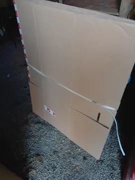 cartons