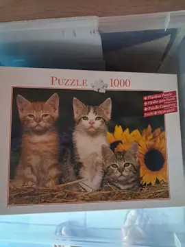 puzzle chat