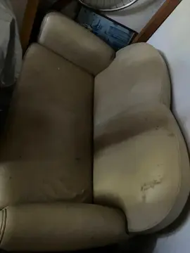 fauteuil et canapé en cuir de buffle