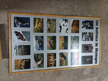 Grande affiche encadrée " les animaux de montagne "