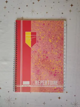 Cahier-répertoire à spirales 21 x 29,7 cm