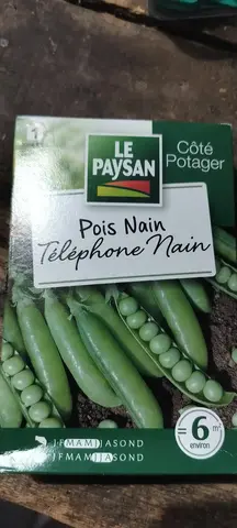 Boîte neuve de graines de petits pois