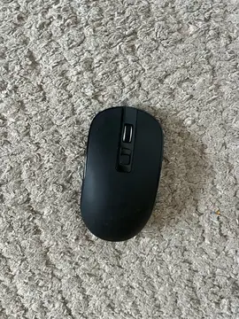 souris