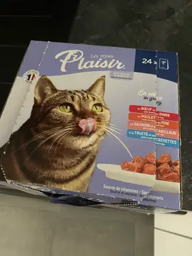 repas/ bouchees pour chat