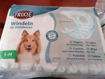 Couches chien