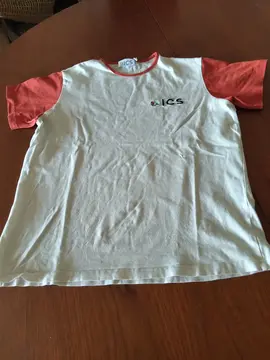 t-shirt garçon ICS 12/13 ans