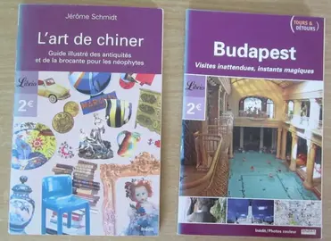 2 livres Librio (l'art de chiner et Budapest)