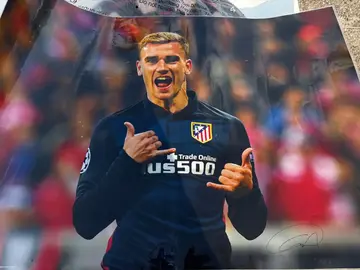 poster greezman