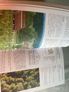 livre que le vin