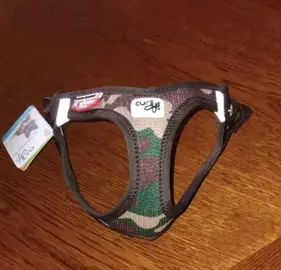 petit harnais pour très petit chien