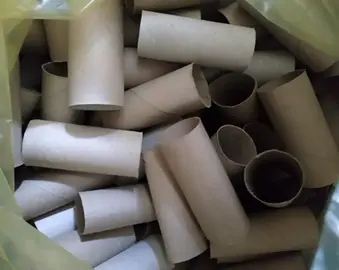 Rouleaux carton papier toilette