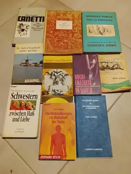livres en néerlandais