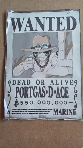 affiche one piece