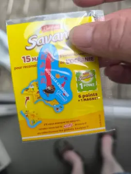 magnet de frigo