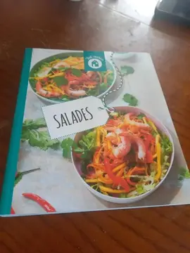 livre de recette neuve des salades