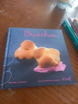 livre neuve recette toute sorte de brioches