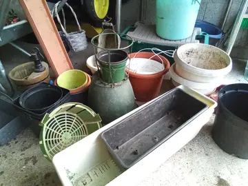 Pots de fleurs et jardinières