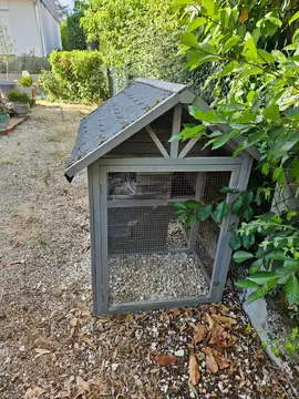 Cabane d extérieur pour chat