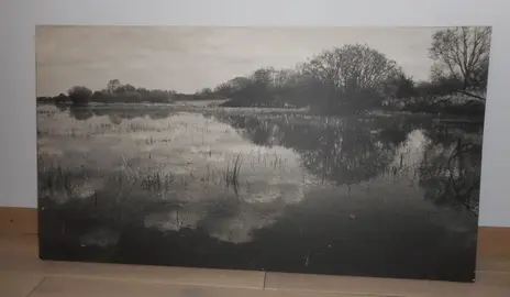 photographie étang de Brenne