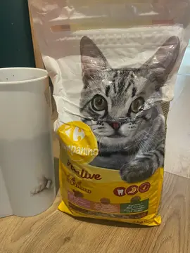croquettes chat
