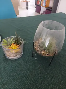 fausse plante grasse