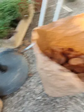 sac de pain n' 2