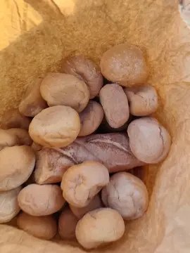 sac de pain n3