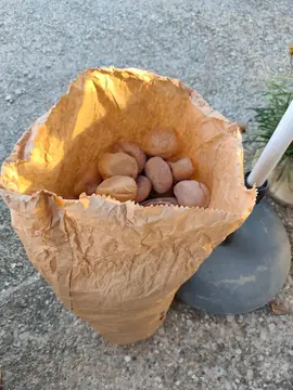 sac de pain n' 4
