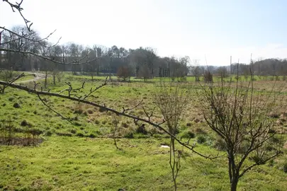 Prêt de terrain pour pâturage
