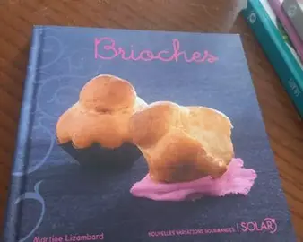 Livre neuve recette toute sorte de brioches