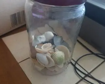 Pot avec des coquillages