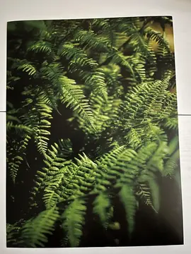 posters muraux
